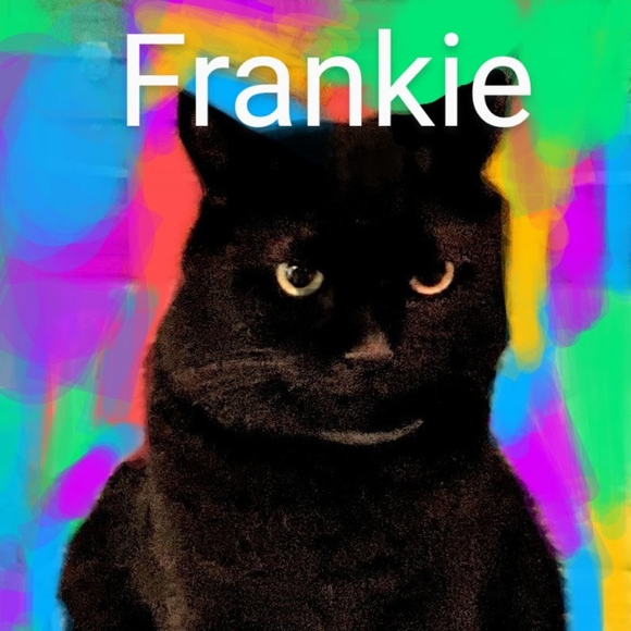 Meet your Posher, Daniel - Picture 12 of 14